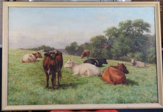 Dixon Clark (1849-1944) Cattle in a field 24 x 36in.